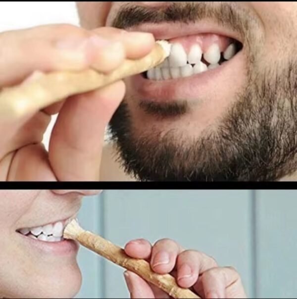 ⁦מקל המשוואק miswak לניקוי שיניים ללא מים ומשחת שניים דלק איתן⁩ – תמונה ⁦4⁩