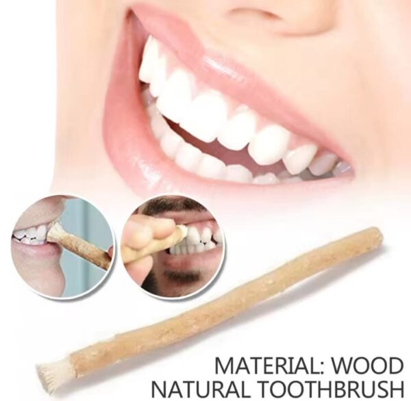 ⁦מקל המשוואק miswak לניקוי שיניים ללא מים ומשחת שניים דלק איתן⁩ – תמונה ⁦2⁩