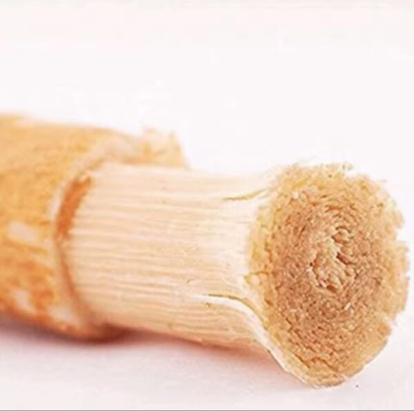 מקל המשוואק miswak לניקוי שיניים ללא מים ומשחת שניים דלק איתן