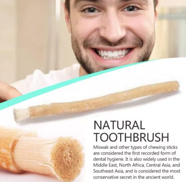 ⁦מקל המשוואק miswak לניקוי שיניים ללא מים ומשחת שניים דלק איתן⁩ – תמונה ⁦3⁩